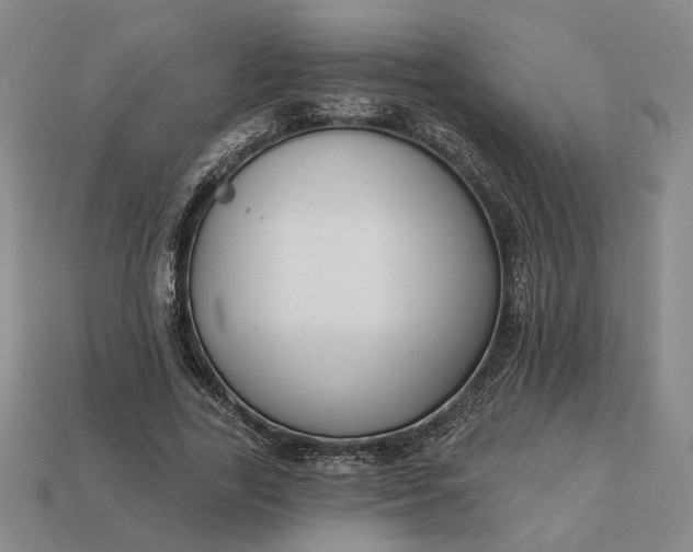 X0000112960731200909101632