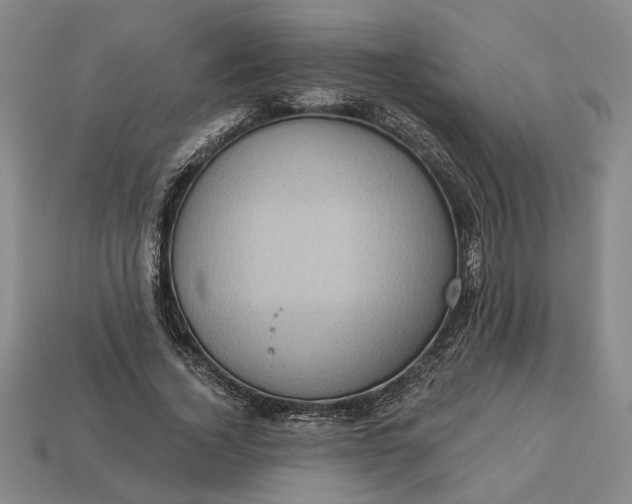 X0000112960732200909101632