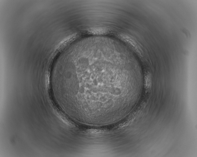 X0000112960733200909101632