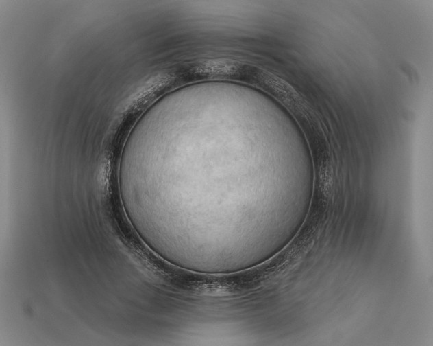 X0000112960735200909101632