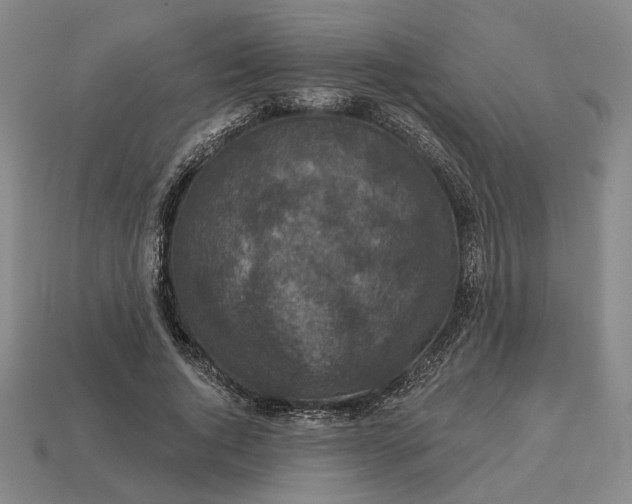 X0000112960736200909101632