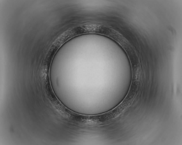 X0000112960737200909101632