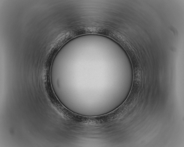 X0000112960738200909101632