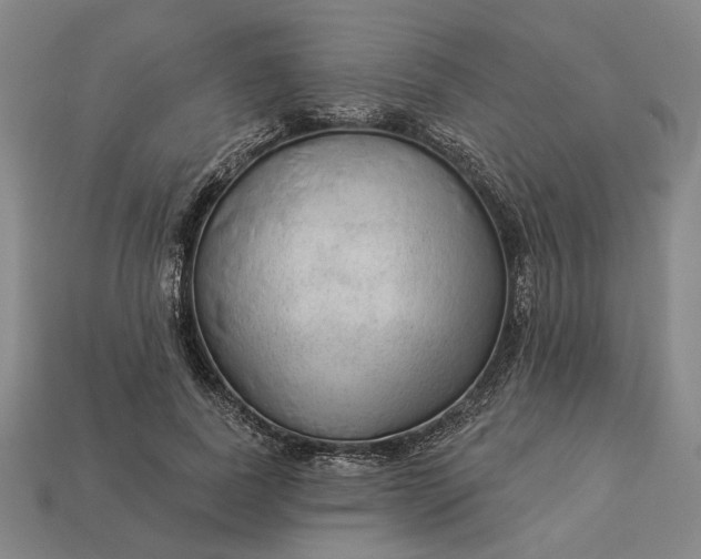 X0000112960739200909101632