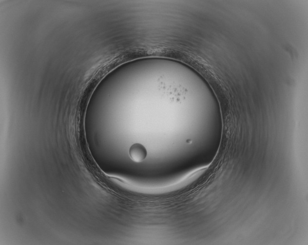 X0000112960740200909101632