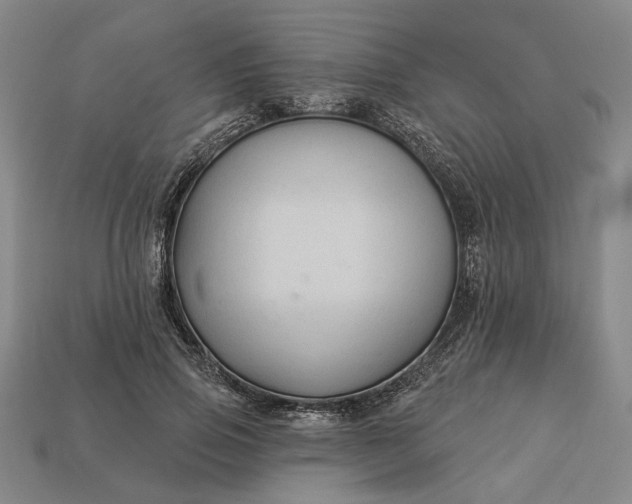 X0000112960741200909101632