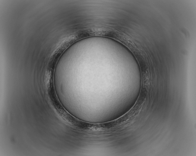 X0000112960742200909101632