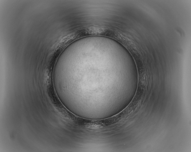 X0000112960743200909101632