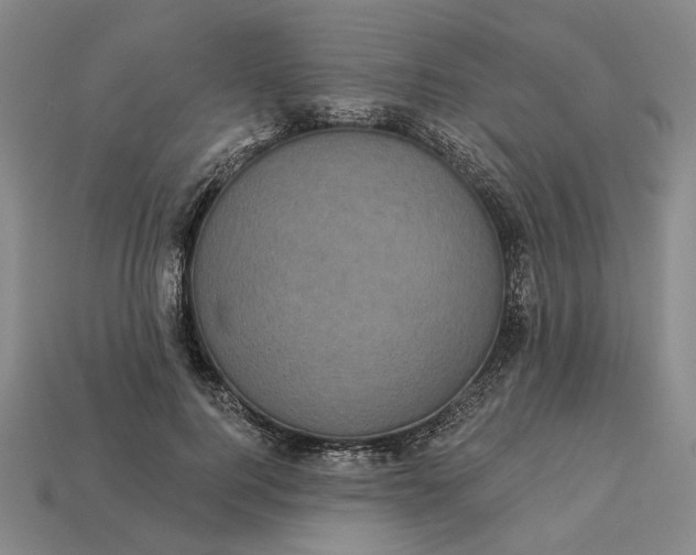 X0000112960744200909101632