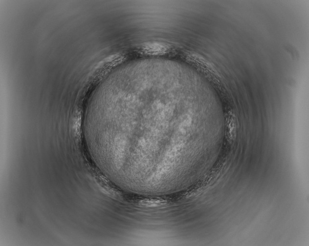 X0000112960745200909101632