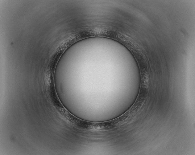 X0000112960746200909101632