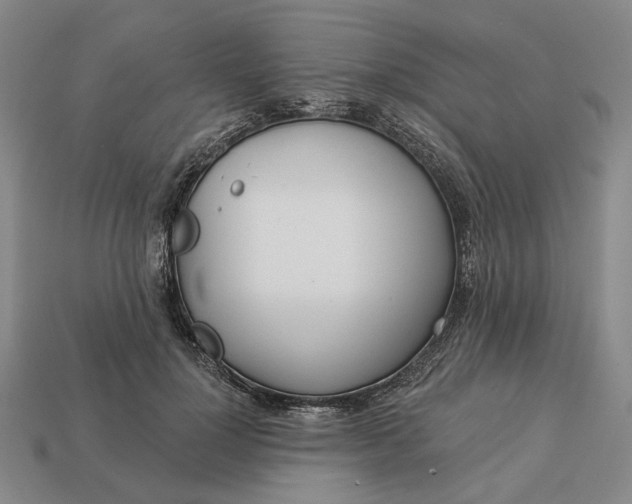 X0000112960748200909101632