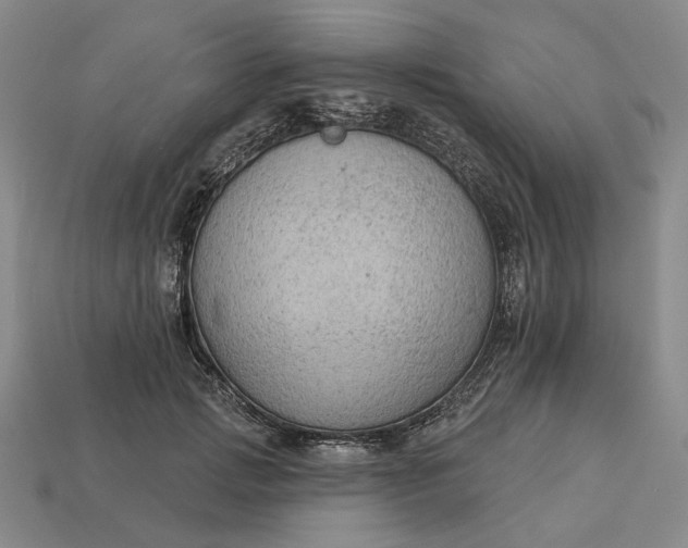 X0000112960749200909101632