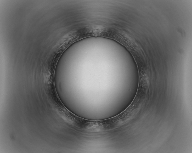 X0000112960750200909101632