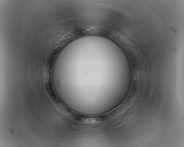 X0000112960751200909101632