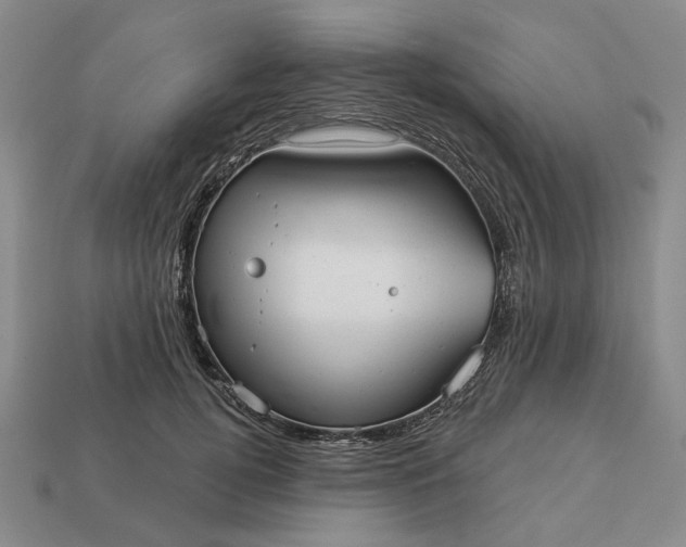 X0000112960752200909101632