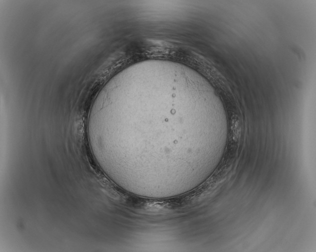 X0000112960753200909101632