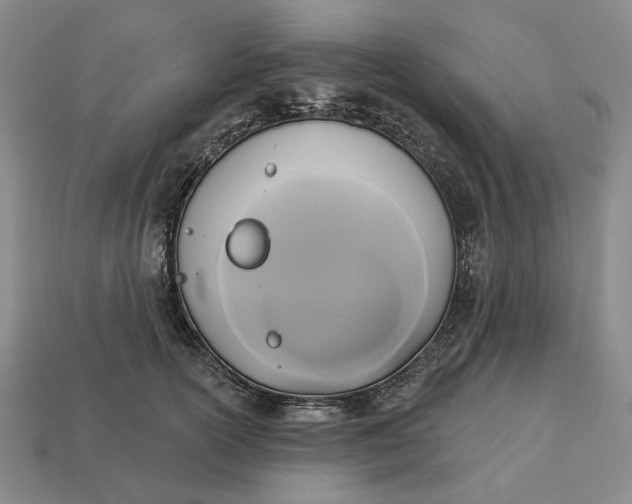 X0000112960754200909101632