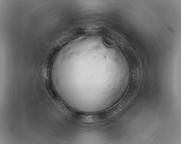 X0000112960755200909101632