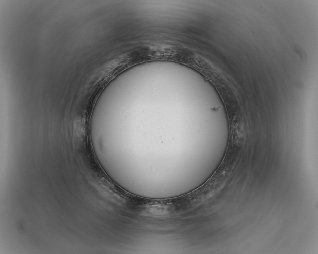 X0000112960756200909101632