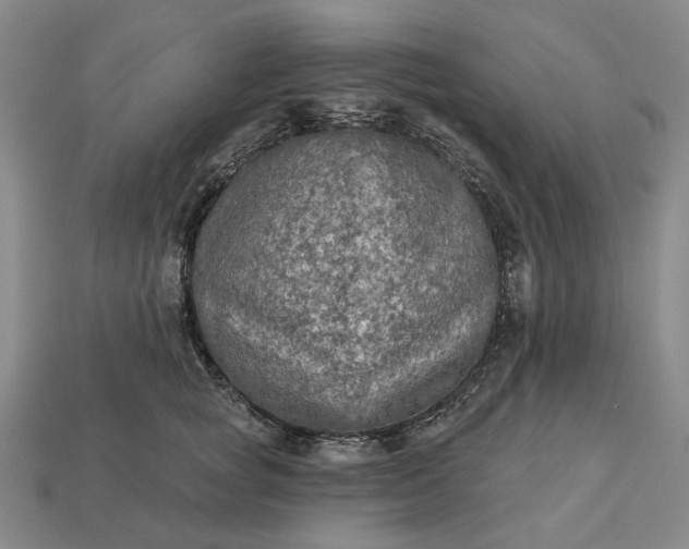 X0000112960757200909101632