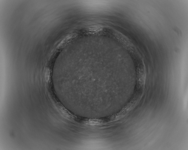 X0000112960758200909101632