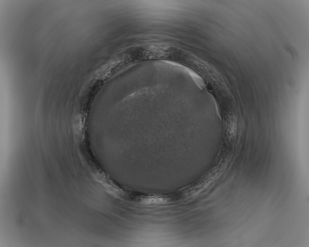 X0000112960759200909101632