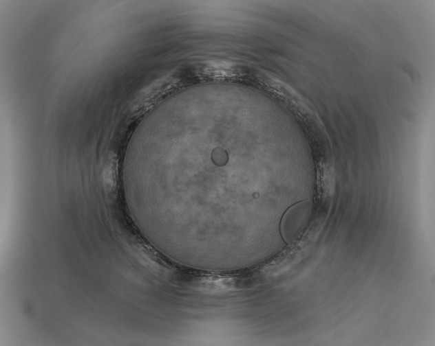 X0000112960760200909101632