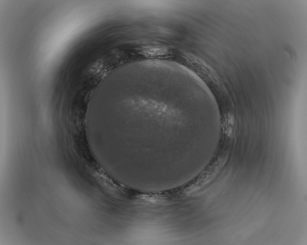 X0000112960763200909101632