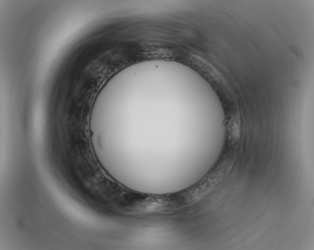 X0000112960764200909101632