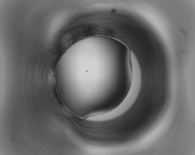 X0000112960766200909101632