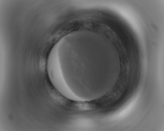 X0000112960767200909101632