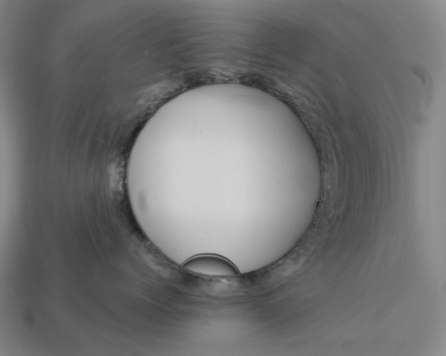 X0000112960768200909101632