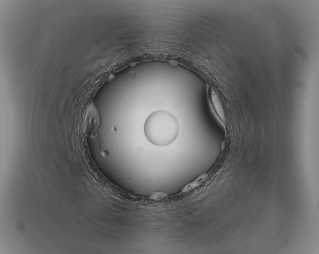 X0000112960769200909101632