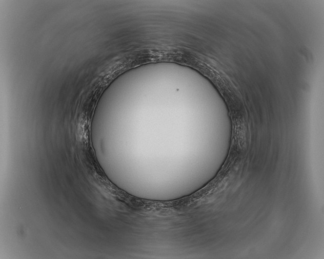 X0000112960770200909101632