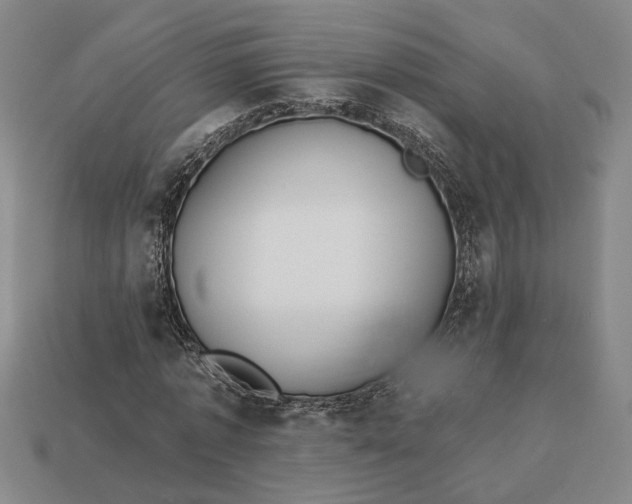 X0000112960773200909101632