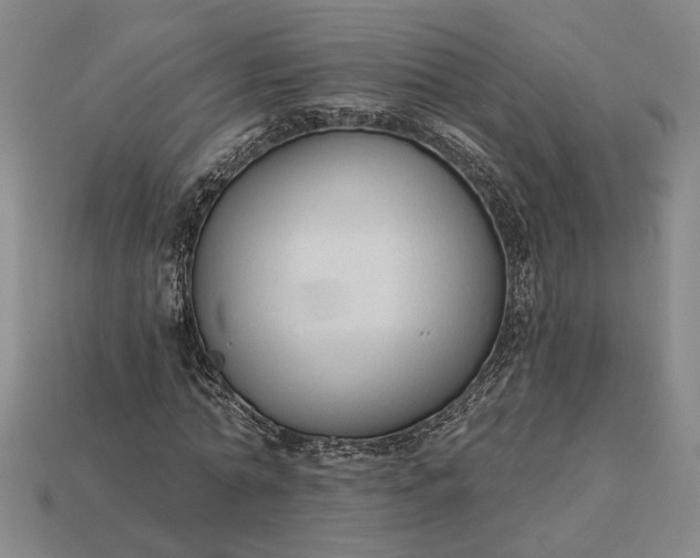 X0000112960774200909101632