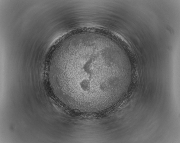 X0000112960775200909101632