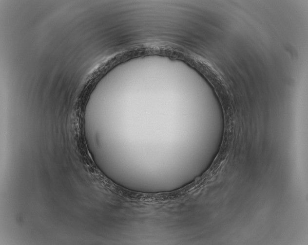 X0000112960776200909101632