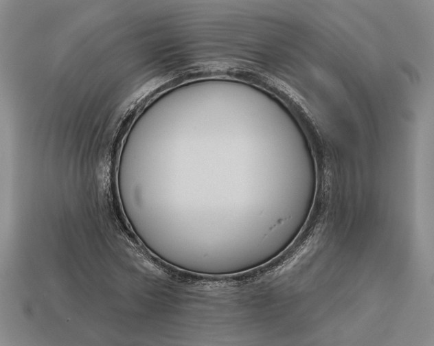 X0000112960778200909101632