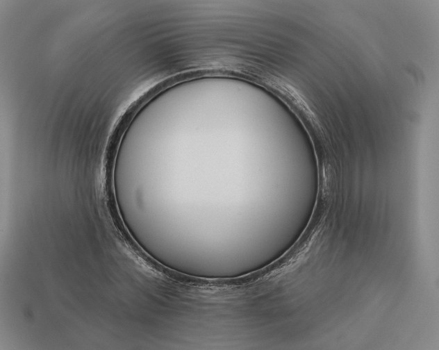 X0000112960780200909101632