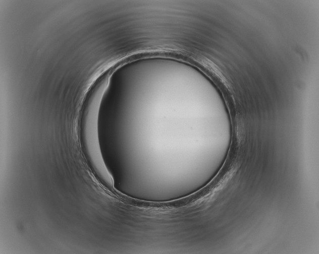 X0000112960781200909101632