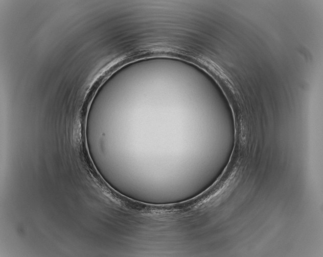 X0000112960782200909101632