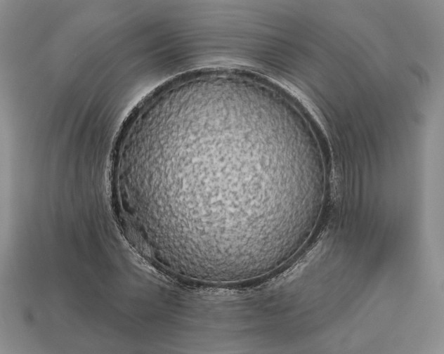 X0000112960783200909101632