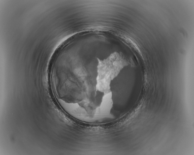 X0000112960784200909101632