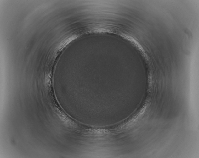 X0000112960785200909101632