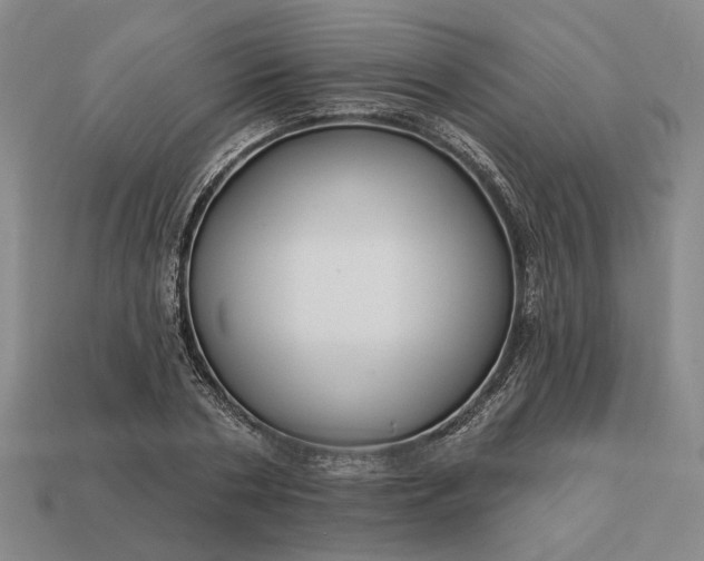 X0000112960786200909101632