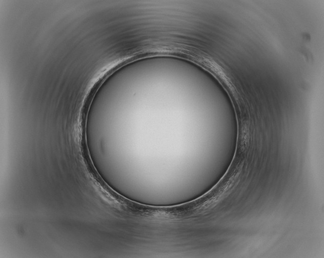 X0000112960787200909101631