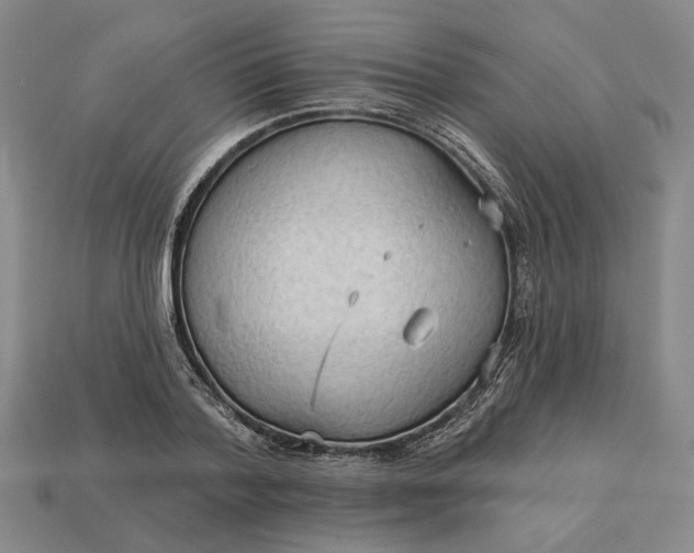 X0000112960788200909101631