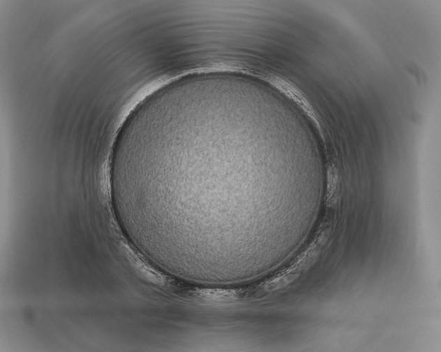 X0000112960789200909101631